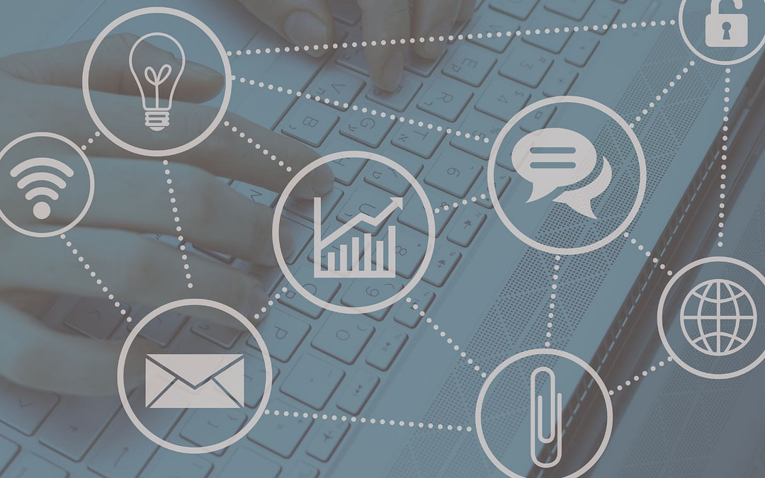 From Chaos to Calm: Savvy Business Systems – Part 2